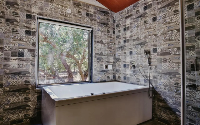 Gir Lion Safari Camp