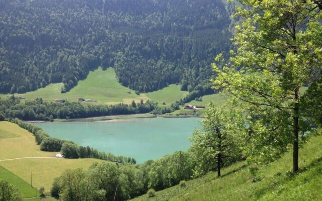 Heidi Chalet Alps-unique experience