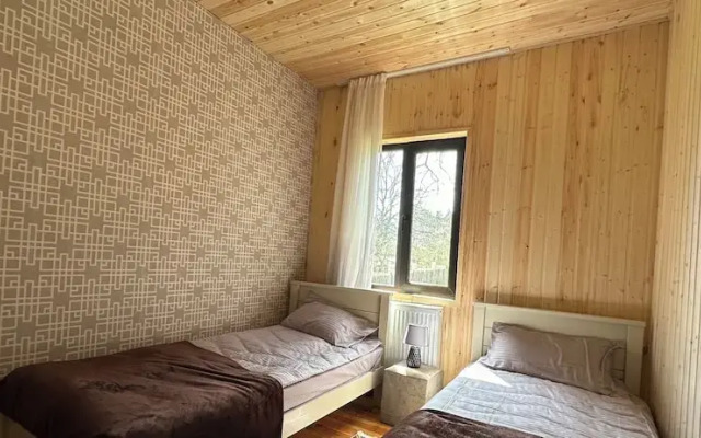 Wooden nice house