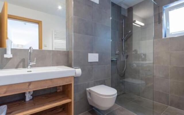 Luxury Tauern Apartment Piesendorf Kaprun 2