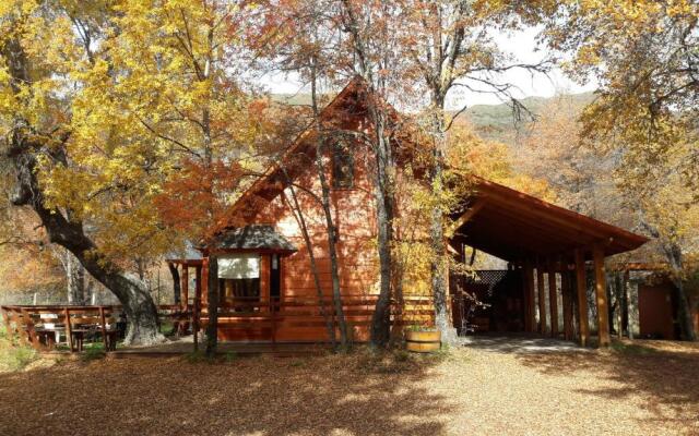 Cabañas Tronco Mayen