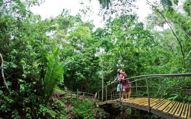 Jungle Villa