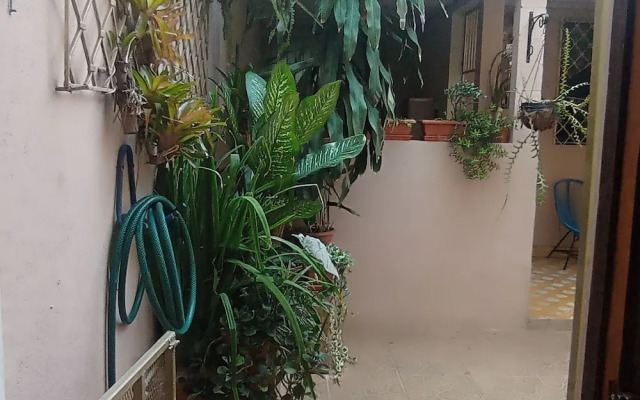 Mountain View hostel