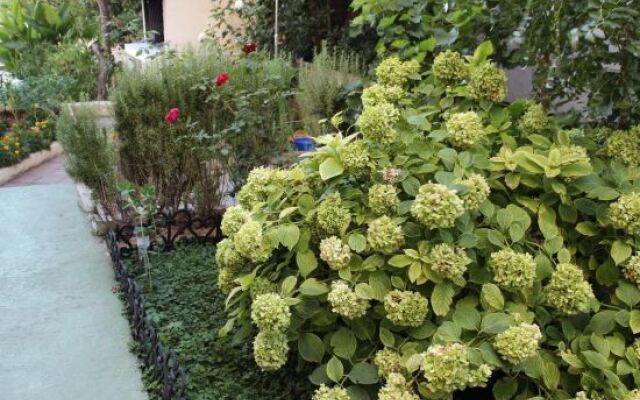 Apartments Miriam Srima