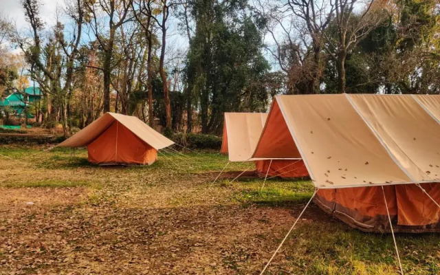 Monkey Mud Hostel And Camps