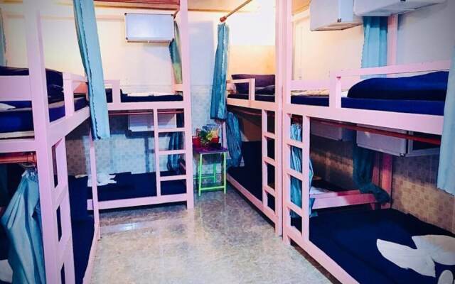 Hai Cay Thong Homestay - Hostel