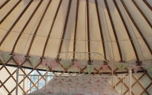 Mill Haven Place glamping-yurt 2
