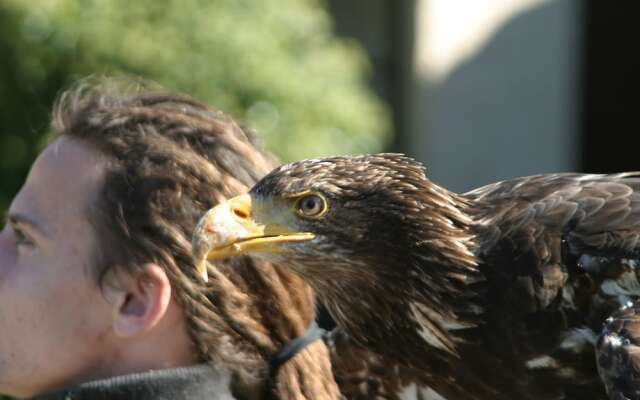 Living in the old Granary