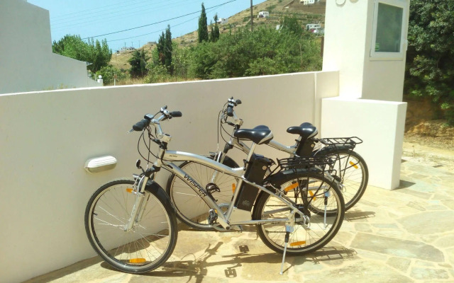 Andros Luxury House