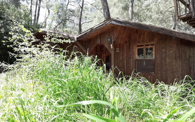 Olympos Altaris Pansiyon