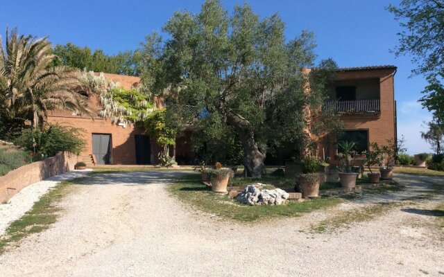 Il Podere Degli Ulivi