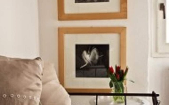 Pinzochere Michelangelo