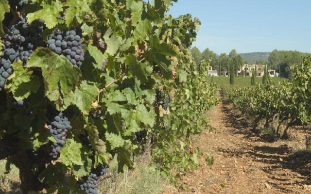 Domaine Clos de LOurs