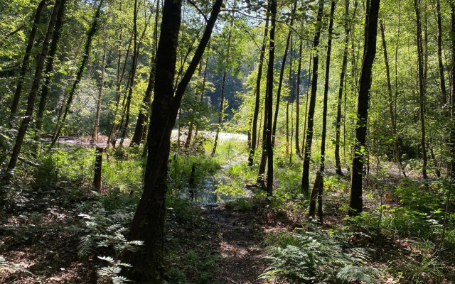 The Farmer's Daughter