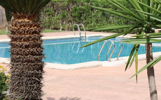 Blue Oliva Nova MET & Golf