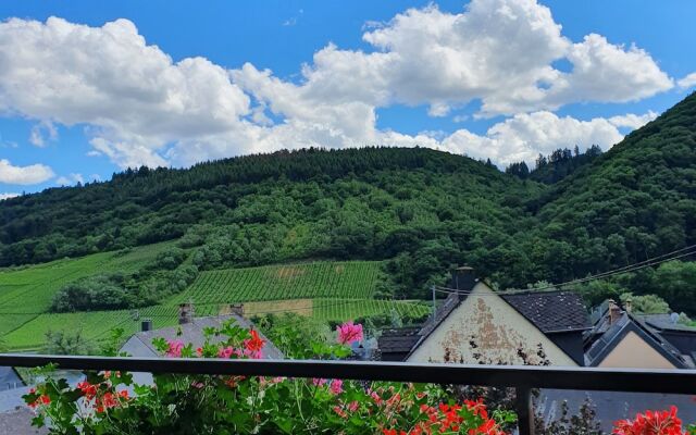 Ferienweingut Stein