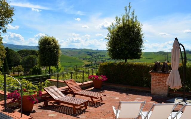 Tassinaia - Inh 28457