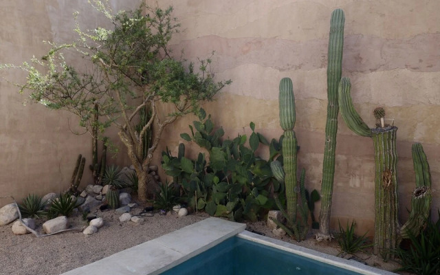 Casa Bo