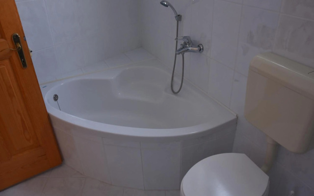 Apartment and Studio Damjan