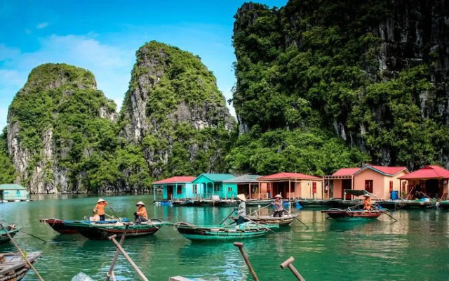 Signature Halong Cruise