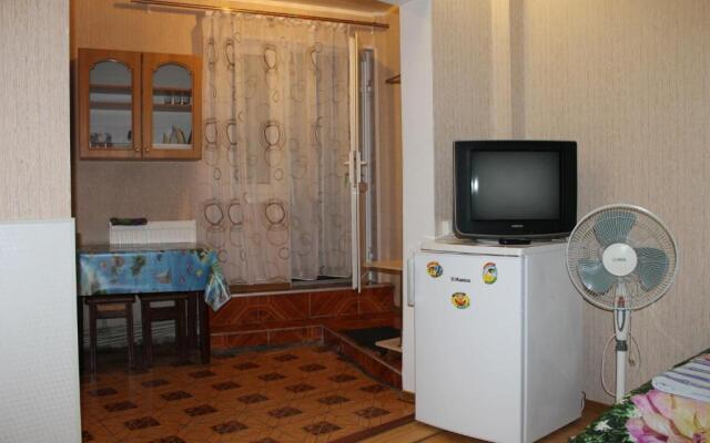 Guest House Gorkogo 60