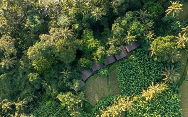 Sacred Canyon Ubud by Pramana Villas