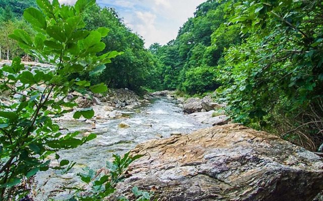 Jecheon Sopungganeunnal Pension