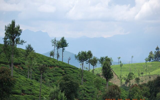 Ranmal Tea Plantation Bungalow