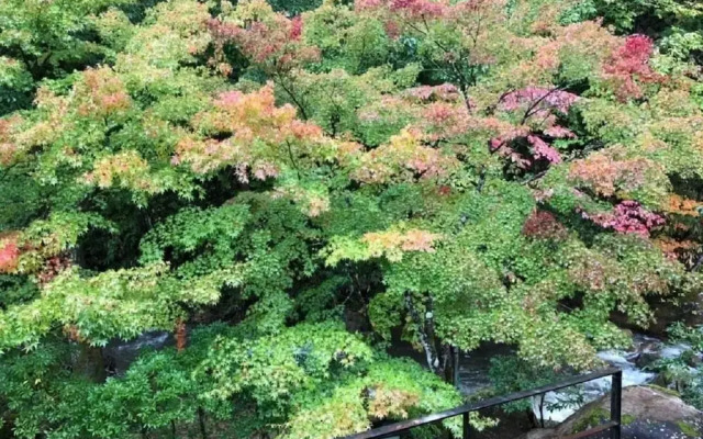 Shohakuen