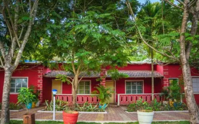 Dandeli Jungle Inn