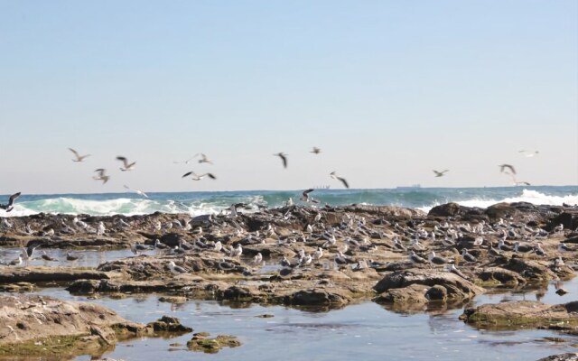 Pohang Super Natural Pension