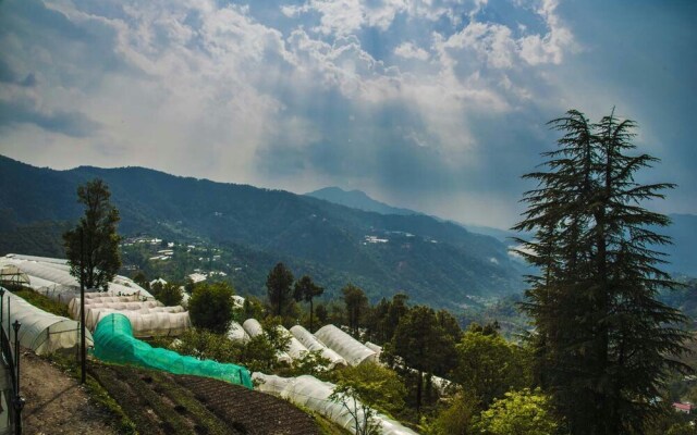 Mountain View Resort