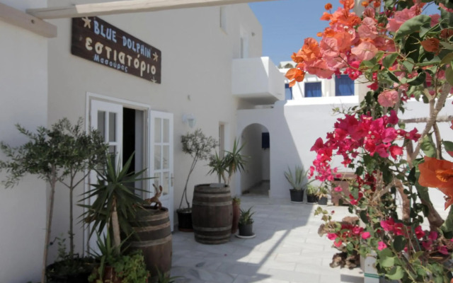 Paros Blue Dolphin