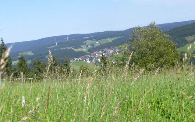 Lush Apartment in Furtwangen near Black Forest with Balcony