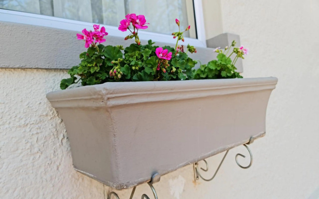 Peaches & Cream Bed & Breakfast