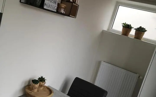 Studio Zwin 9