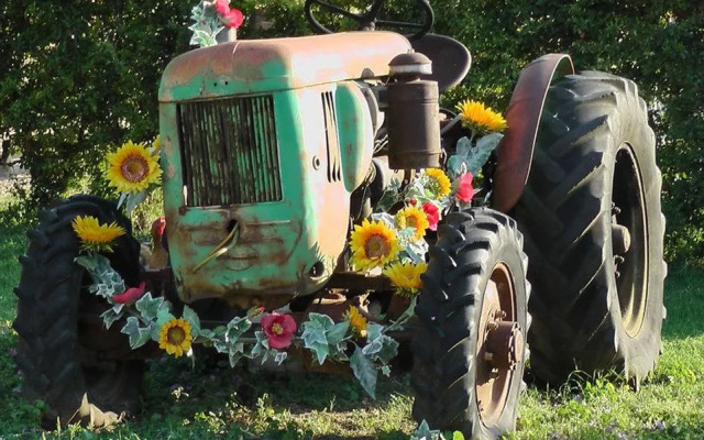 Agriturismo Barbadoro