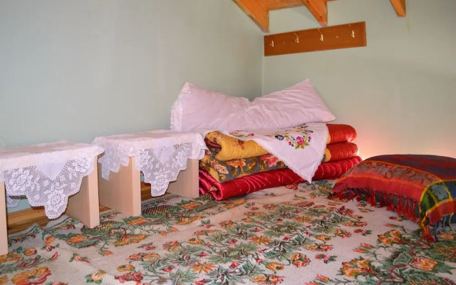 Traditional Karpathian home with panoramic View