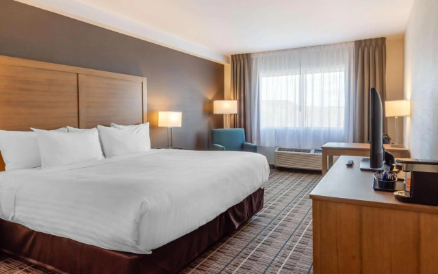 Quality Hotel