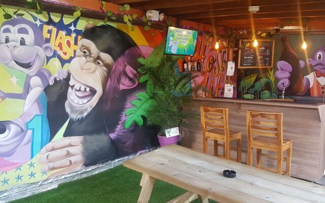 Purple Monkey Hostel