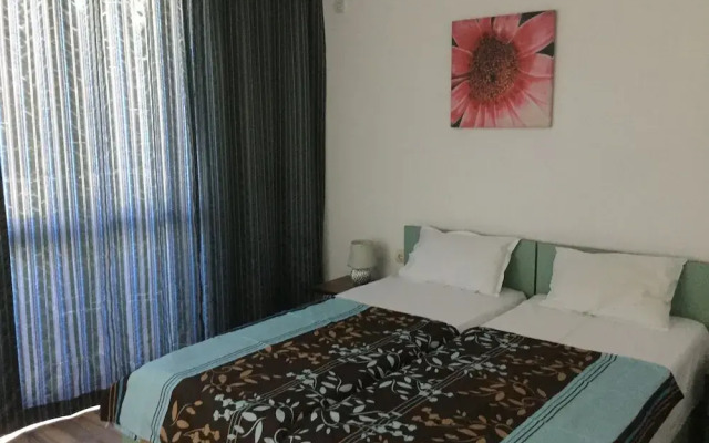 Sofia Apartments in Sunny Residence