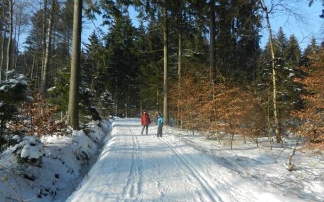 Waldgasthof & Hotel Am Sauwald