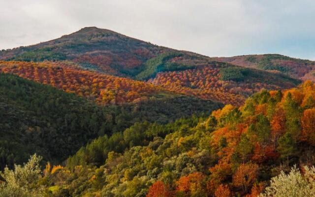 Hostal Altamira Guadalupe
