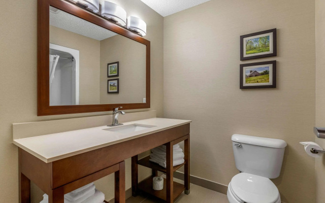 Comfort Suites Cedar Falls