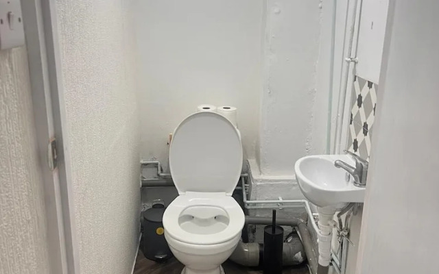 Nest And Limited