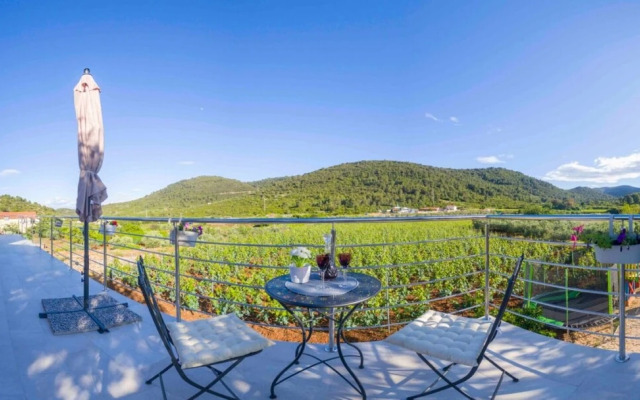 Filip - Vineyard and Large Terrace - SA2 Rozi