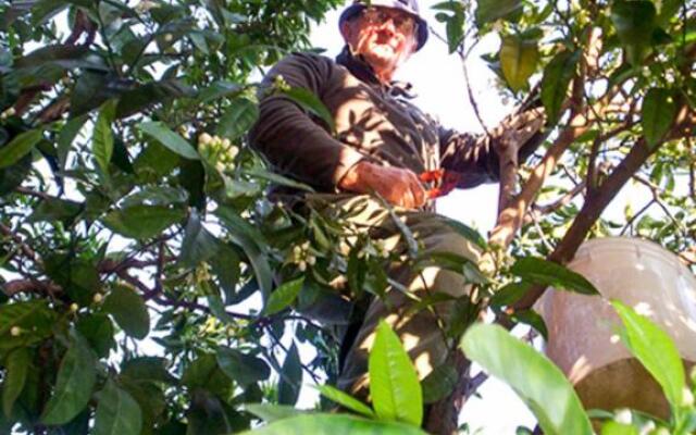 Guest House Arancia145