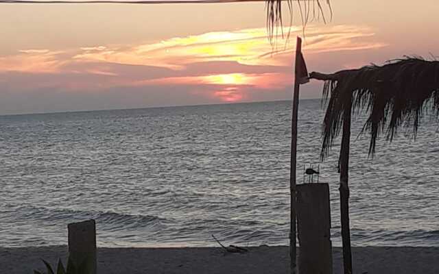 Flamingo Guest House Celestún