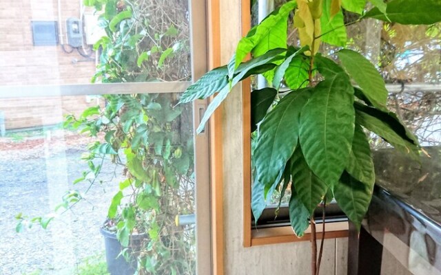 Yakushima Deaf Farm Guesthouse