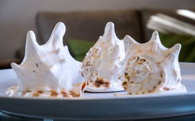 Penthouse Picasso Area